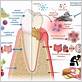 gum disease effect on body
