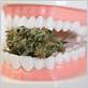 gum disease marijuana