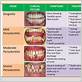 gum disease repair cost