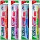 gum toothbrush company