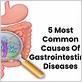 gut bacteria and gum disease