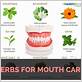 herbs good for gum disease