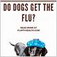 how do dogs get flu