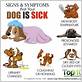 how do you know if your dog has the flu