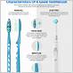 how long are toothbrushes good for
