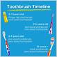 how long should a toothbrush be used