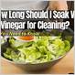 how long to soak in vinegar