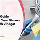 how long to soak showerhead in vinegar
