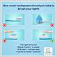 how much toothpaste should you put on a toothbrush