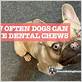 how often do you give dental chews to your dog