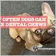 how often should you give dental chews for dogs