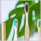 how often to change bamboo toothbrush