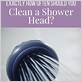 how often to clean shower head