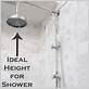 how tall should a shower head be