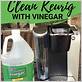 how to clean mini keurig with vinegar