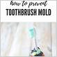 how to clean mold electric toothbrush