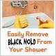 how to clean mold from shower head