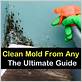 how to clean mold out of oral irrigator