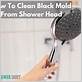 how to clean moldy shower head