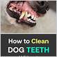 how to naturally clean dogs teeth without dental chews