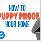 how to puppy proof your apartment