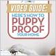 how to puppy proof your house