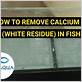 how to remove calcium deposits from fish tank