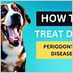 how to treat dog gum disease at home