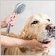 how to wash your dog