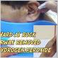 hydrogen peroxide in ear and waterpik