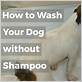 if i dont have dog shampoo what can i use