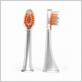 intelisonic sterling toothbrush heads