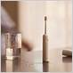 intitle: best electric toothbrush for travel
