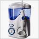 irrigador waterpik wp100