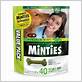 minty dog dental chews