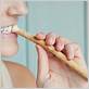 miswak or toothbrush