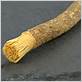 miswak stick toothbrush