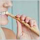 miswak toothbrush how to use