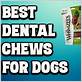 most effective dental chew for dogs