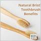 natural bristle toothbrush vs synthetic