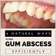 natural mouthwashes for gum disease abscess