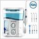 nicefeel oral irrigator review