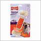 nylabone dental chew bone