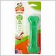 nylabone dental chew green