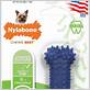 nylabone dental chew moderate