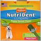 nylabone nutri dent small dog dental chews 48 count