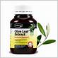 olive leaf extract for gum disease