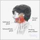 painful salivary glands from gum disease
