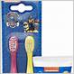paw patrol toothbrush and toothpaste
