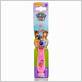 paw patrol toothbrush timer